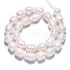 Natural Cultured Freshwater Pearl Beads Strands PEAR-N012-10C-4