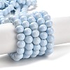 Painted Glass Bead Strands DGLA-S071-8mm-B15-2