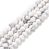 Natural Howlite Beads Strands G-E571-29A-1