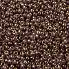 MIYUKI Round Rocailles Beads SEED-X0055-RR2448-3