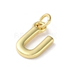 Rack Plating Brass Charms KK-P245-06G-U-2