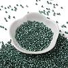 Baking Paint Glass Seed Beads X-SEED-S042-15A-15-2