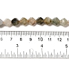 Natural Rutilated Quartz Beads Strands G-K382-A02-02-5