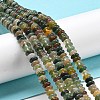 Natural Indian Agate Beads Strands G-K343-C04-01-3