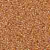 TOHO 11/0 Round Beads X-SEED-TR11-0162B-2