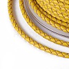 Braided Cowhide Cord WL-I004-3mm-D-10-3