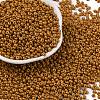 8/0 Baking Paint Glass Seed Beads SEED-M012-02A-51-1