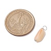 Natural Seashell Nuggets Charms PALLOY-JF02841-2