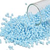TOHO 8/0 Round Beads SEED-XTR08-0124-1
