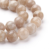 Natural Sunstone Beads Strands X-G-G099-10mm-14-3
