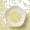 Glass Seed Beads SEED-H002-E-A1401-2
