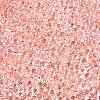 6/0 Baking Paint Transparent Fringe Glass Seed Beads X1-SEED-N006-06E-3