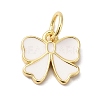 Rack Plating Brass Enamel Charms KK-B092-13G-03-1