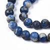 Natural Sodalite Beads Strands G-S279-10-6mm-4