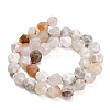 Natural Agate(Dyed & Heated) Beads Strands G-K425-B09-01-5