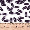 Transparent Colours Glass Seed Beads SEED-T007-16S-4