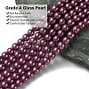 Eco-Friendly Dyed Glass Pearl Round Beads Strands HY-A002-6mm-RB029-3