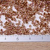 MIYUKI Delica Beads Small X-SEED-J020-DBS0170-4