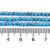 Synthetic Turquoise Beads Strands G-U004-02J-5