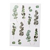 Flower Pattern Waterproof Self Adhesive Hot Stamping Stickers DIY-I063-06-2