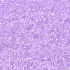 MIYUKI Delica Beads X-SEED-J020-DB0248-3
