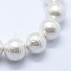 Shell Pearl Beads Strands BSHE-K053-02-14mm-3