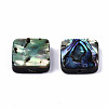 Natural Abalone Shell/Paua Shell Beads SSHEL-T014-12B-2