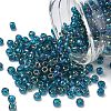TOHO 6/0 Round Beads SEED-TR06-0167BD-1