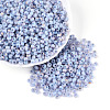 6/0 Glass Seed Beads SEED-N008-07B-1