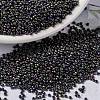 MIYUKI Round Rocailles Beads X-SEED-G009-RR2019-1