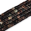 Natural Biotite Beads Strands G-T141-88B-4