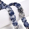 Natural Blue Spot Jasper Beads Strands G-T138-172-1