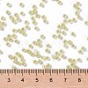 MIYUKI Round Rocailles Beads X-SEED-G008-RR0554-4
