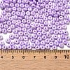 Baking Paint Luster Glass Seed Beads X1-SEED-B001-04A-09-4