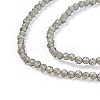 Transparent Glass Beads Strands GLAA-F094-A05-3