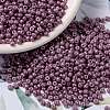 MIYUKI Round Rocailles Beads SEED-X0055-RR1867-1