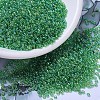 MIYUKI Round Rocailles Beads SEED-G007-RR0179L-1