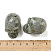Halloween Natural Labradorite Skull Figurines DJEW-L021-01F-3