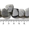 Natural Labradorite Beads Strands G-P528-K10-01-4