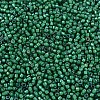 MIYUKI Delica Beads X-SEED-J020-DB1788-3