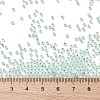 TOHO 11/0 Round Beads X-SEED-TR11-PF2118-3