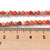 Dyed Natural Regalite/Imperial Jasper/Sea Sediment Jasper Beads Strands G-B124-C05-03-2