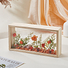 Rectangle Double Sided Clear Acrylic with Wood Display Cases ODIS-WH0038-237B-4