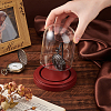 Transparent Glass Shade with Wood Base Watch Display Stand ODIS-WH0038-138-3
