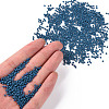 11/0 FGB Grade A Baking Paint Glass Seed Beads X-SEED-N001-A-1013-4