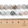 Natural Aquamarine Beads Strands G-F591-29A-8mm-03-5