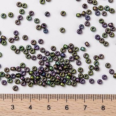MIYUKI Round Rocailles Beads X-SEED-G008-RR2019-1