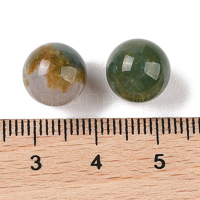Natural Indian Agate No Hole Sphere Beads G-K353-04A-09-1