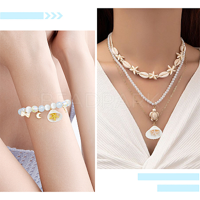 32Pcs Summer Beach Natural Shell Pendants FIND-SC0012-34-1