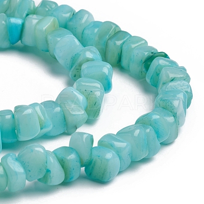 Shell Beads Strands BSHE-G026-02-1